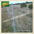 China Suppliers Hinge Joint Field Fence With Best Price